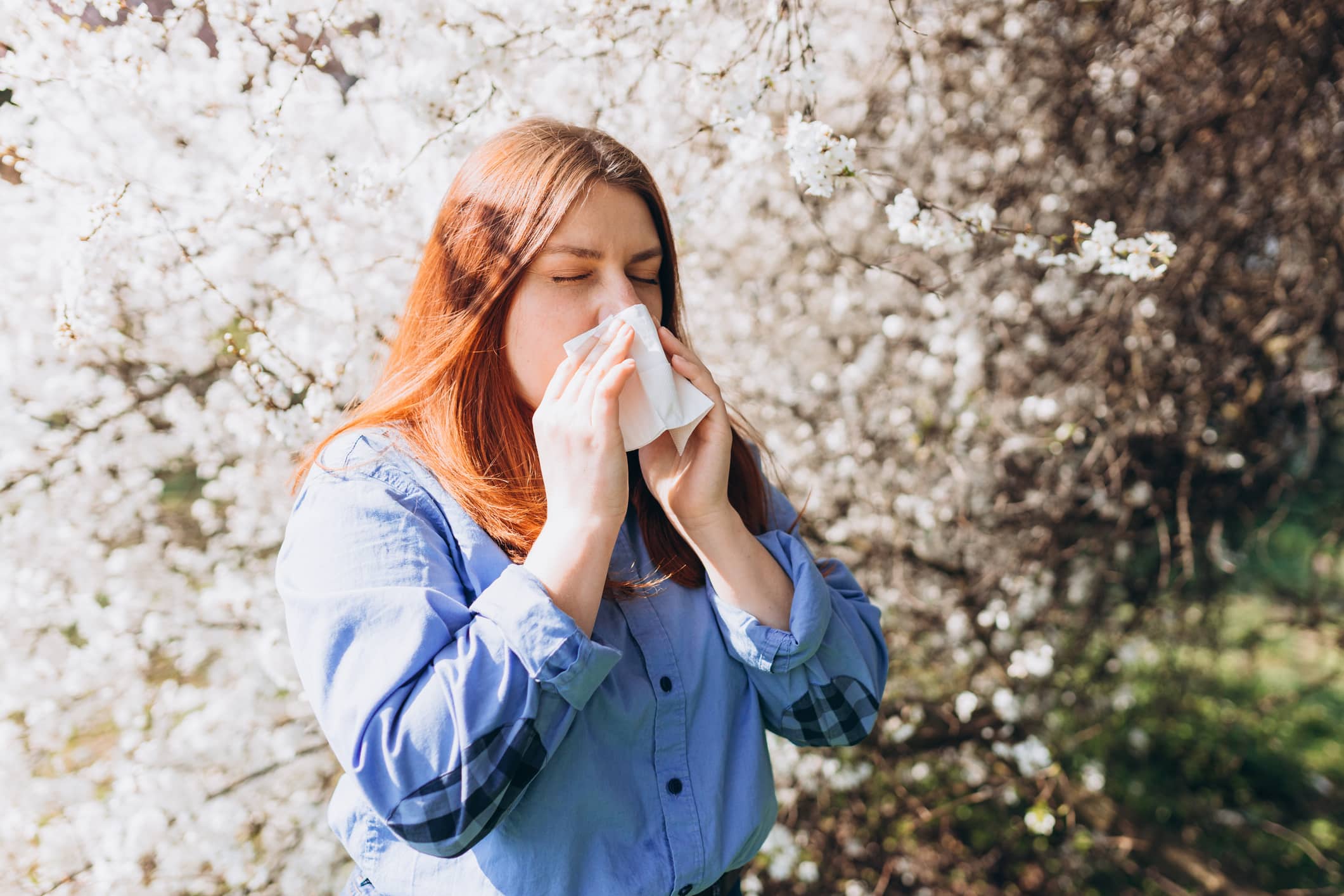 A woman experiencing airborne allergies blows her nose into a tissue while standing among blossoming trees in spring.
